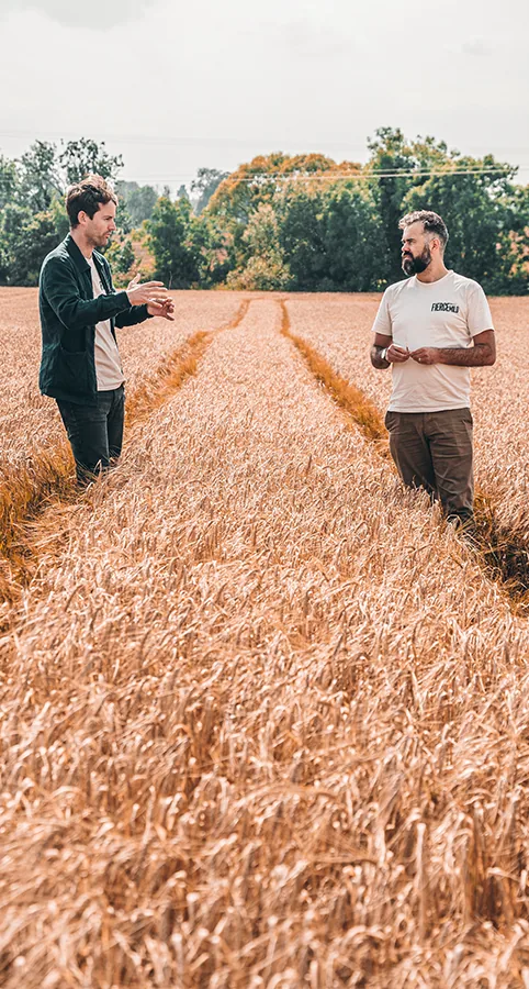 Fergal and Cathal talking in a field of ripe barley