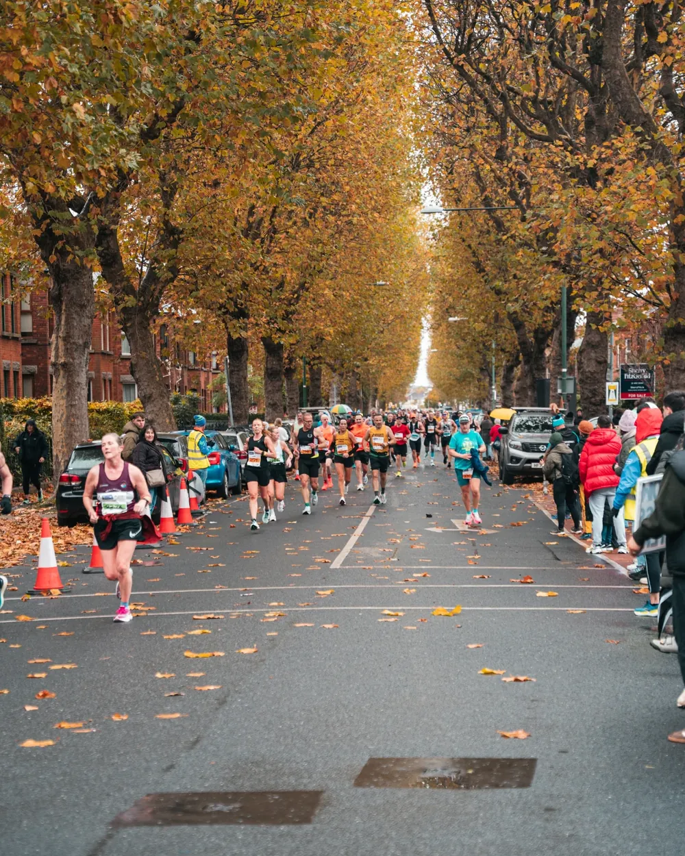 Runners on a tree-lined Dublin street during the Dublin Marathon