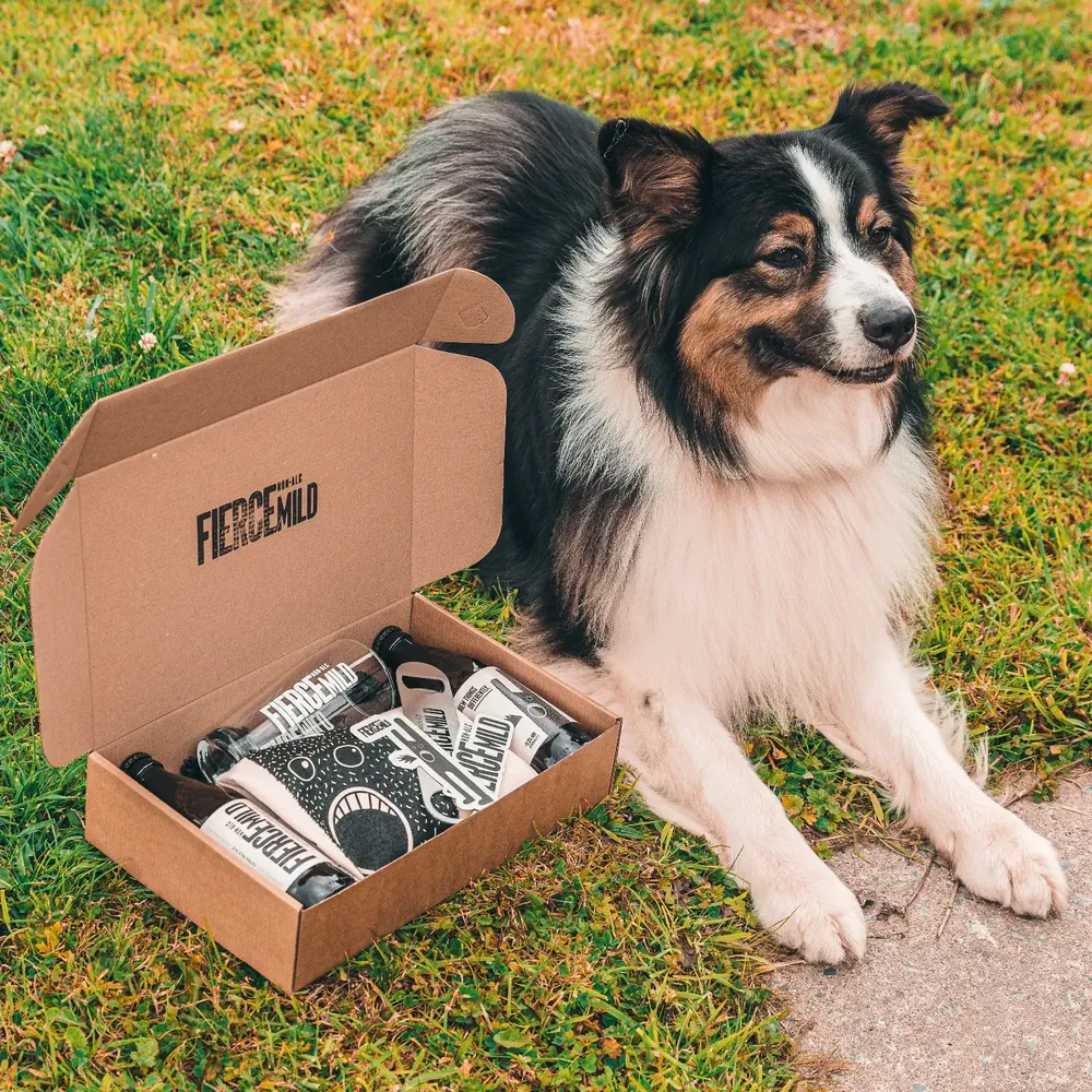 A border collie lying in the grass beside an open Fierce Mild delivery box